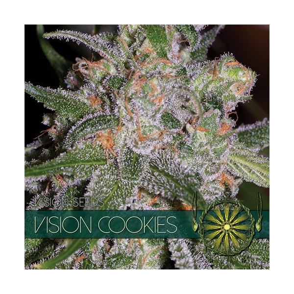 Vision Cookies (Vision Seeds) feminizowane
