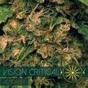 Vision Critical Automat (Vision Seeds) feminizowane