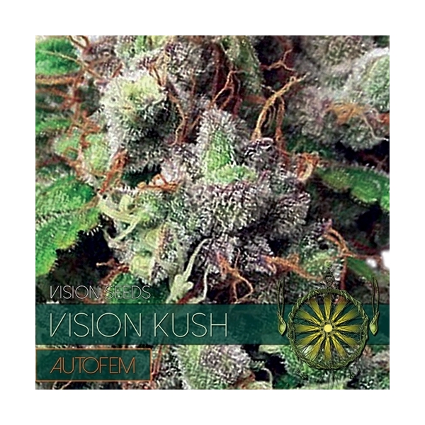 Vision Kush Automat (Vision Seeds) feminizowane