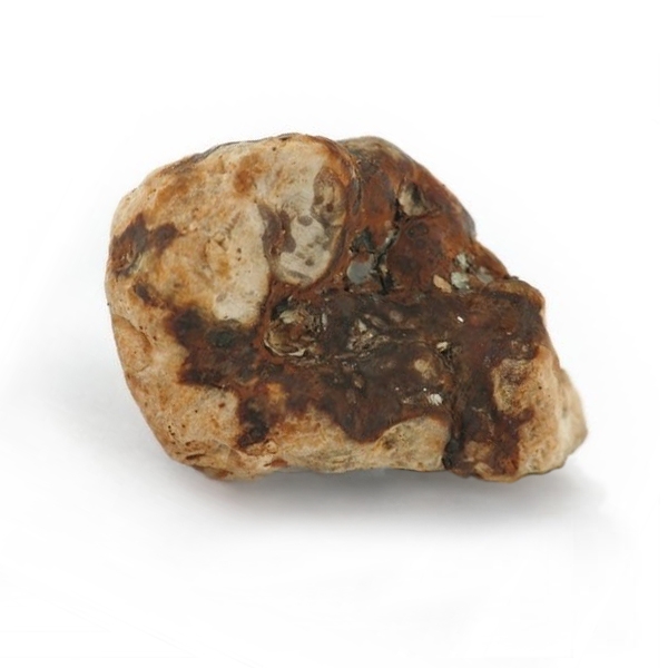 Magiczne trufle Valhalla