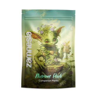 Pakiet Buddy Mix NUTRIENT