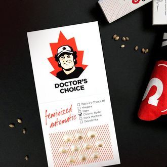 Chronic Ryder Automat (Doctor's Choice) feminizowane