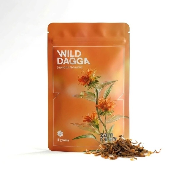 Wild Dagga (Leonotis leonurus)