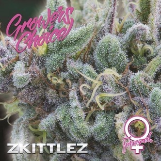 Zkittlez (Growers Choice) Nasiona marihuany feminizowane