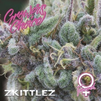 Zkittlez (Growers Choice) Nasiona marihuany feminizowane