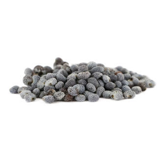 Mak lekarski (Papaver somniferum) 5 gramów