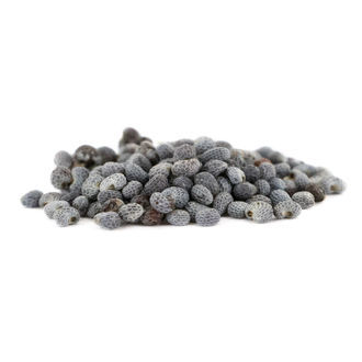 Mak lekarski (Papaver somniferum) 5 gramów