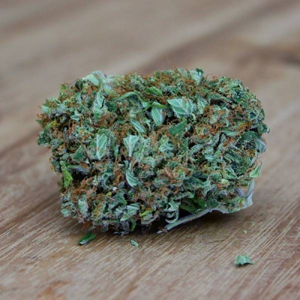 Amnesia Ganja Haze (Sumo Seeds) feminizowane