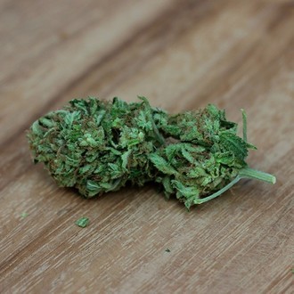 Sweet Harlem Diesel (Sumo Seeds) feminizowane