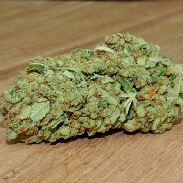 Thunderstruck (Sumo Seeds) feminizowane