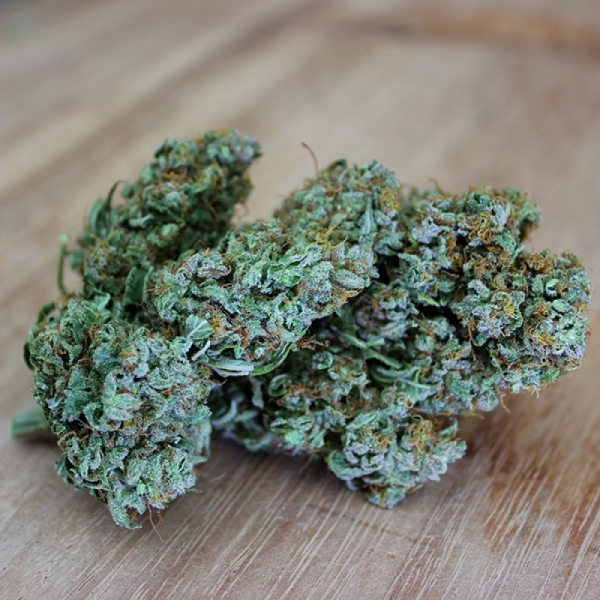 OG Kush od Sumo (Sumo Seeds) feminizowane