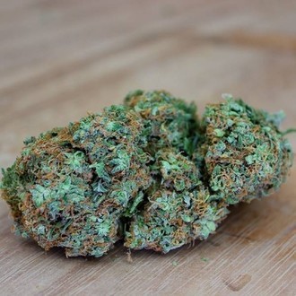 Appleberry (Sumo Seeds) feminizowane