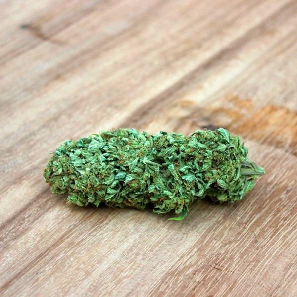 Berries & Cheese (Sumo Seeds) feminizowane