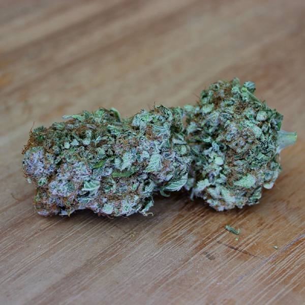 White Widow Original (Sumo Seeds) feminizowane