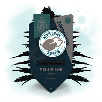 Zamnesia Mystery Seed (Autokwitnący)