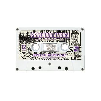 Prima Holandica (Super Sativa Seed Club) regularne