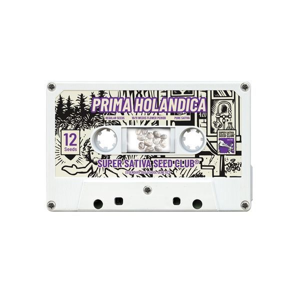 Prima Holandica (Super Sativa Seed Club) regularne