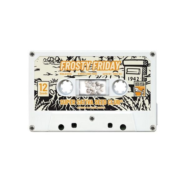 Frosty Friday (Super Sativa Seed Club) Regularne