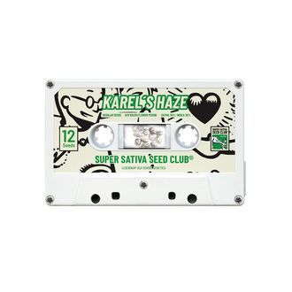 Karel's Haze (Super Sativa Seed Club) regularne