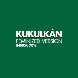 Kukulkan (Pyramid Seeds) feminizowane