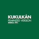 Kukulkan (Pyramid Seeds) feminizowane