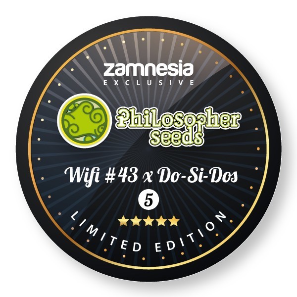 Wifi 43 x Do-Si-Dos (Philosopher Seeds x Zamnesia) feminizowane