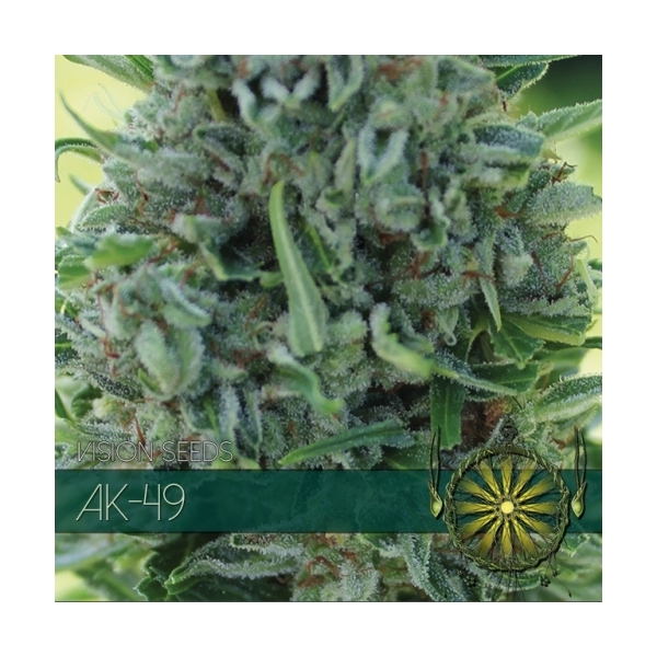 AK-49 (Vision Seeds) feminizowane