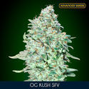 OG Kush SFV (Advanced Seeds) feminizowane