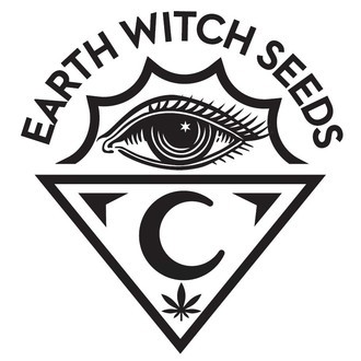 Witchy Wonder (Earth Witch Seeds) regularne