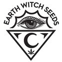 Witchy Wonder (Earth Witch Seeds) regularne