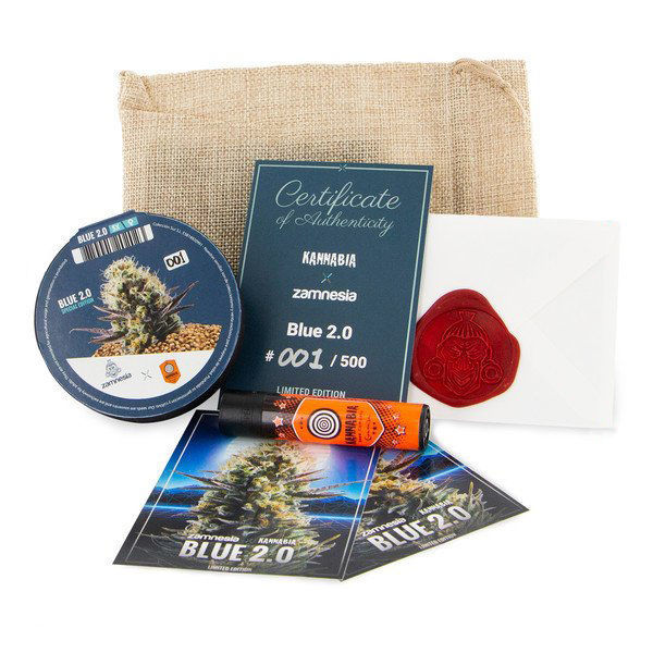 Blue 2.0 (Kannabia x Zamnesia) feminizowane