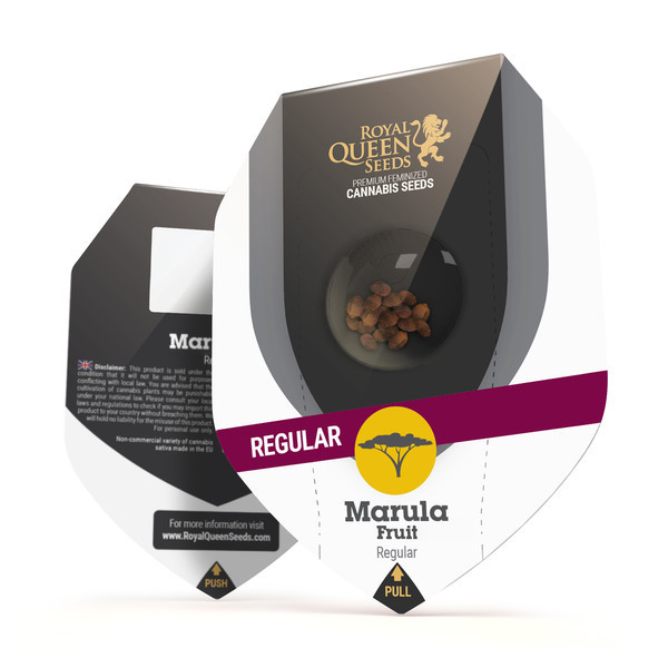 Marula Fruit (Royal Queen Seeds) regularne