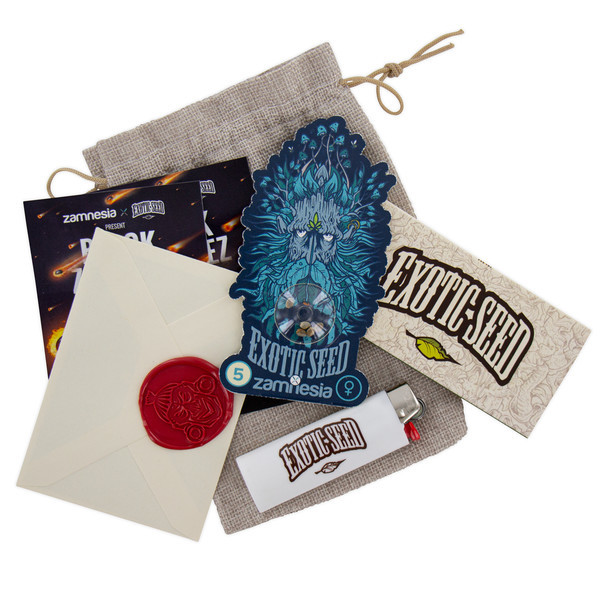 Black ZZ (Exotic Seed x Zamnesia) feminizowane