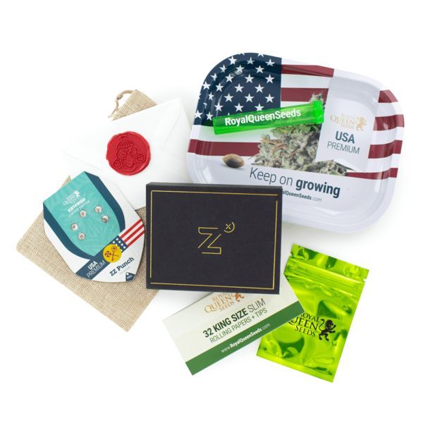 ZZ Punch (Royal Queen Seeds x Zamnesia) feminizowane