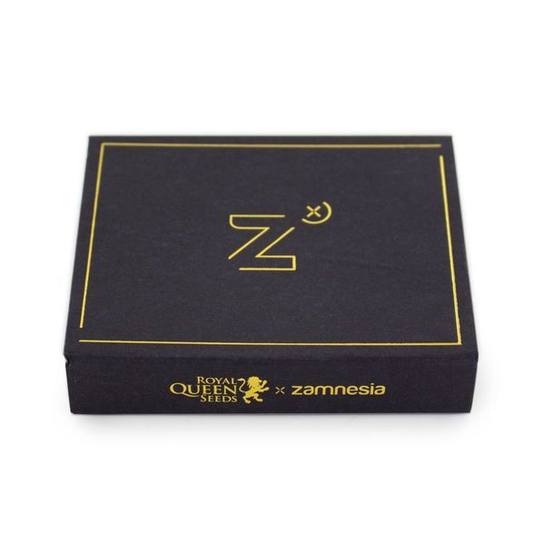 ZZ Punch (Royal Queen Seeds x Zamnesia) feminizowane