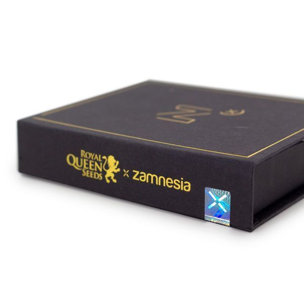 ZZ Punch (Royal Queen Seeds x Zamnesia) feminizowane