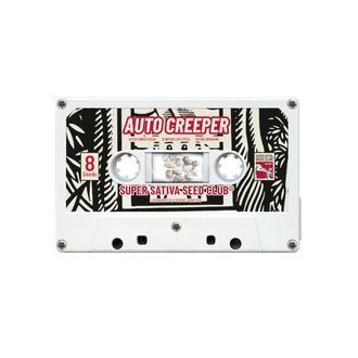 Auto Creeper (Super Sativa Seed Club) feminizowane