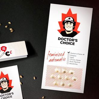 Doctor's Choice 1 Automat (Doctor's Choice) feminizowane