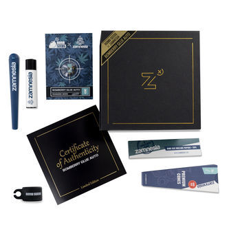 Bomberry Glue Automat (Bomb Seeds x Zamnesia) feminizowane