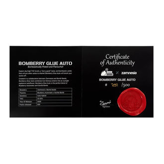 Bomberry Glue Automat (Bomb Seeds x Zamnesia) feminizowane