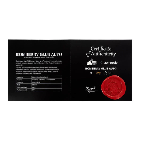 Bomberry Glue Automat (Bomb Seeds x Zamnesia) feminizowane