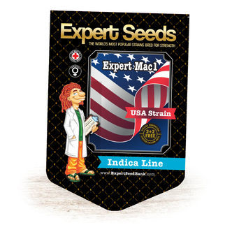Expert Mac1 (Expert Seeds) feminizowane