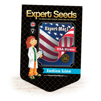 Expert Mac1 (Expert Seeds) feminizowane