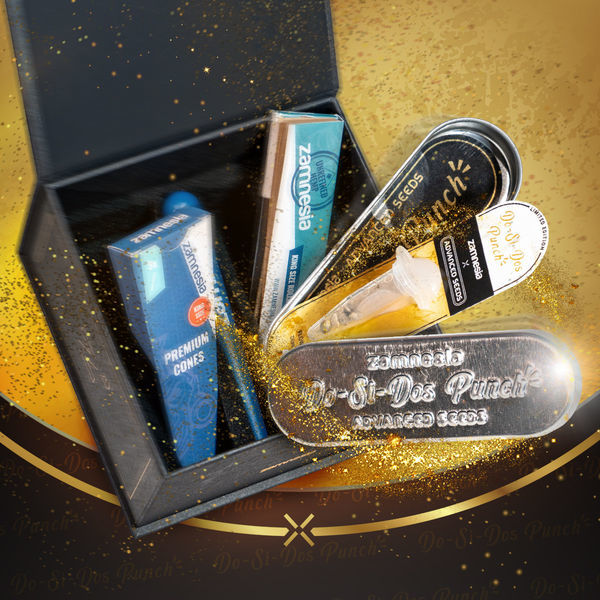 Do-Si-Dos Punch (Advanced Seeds x Zamnesia) feminizowane