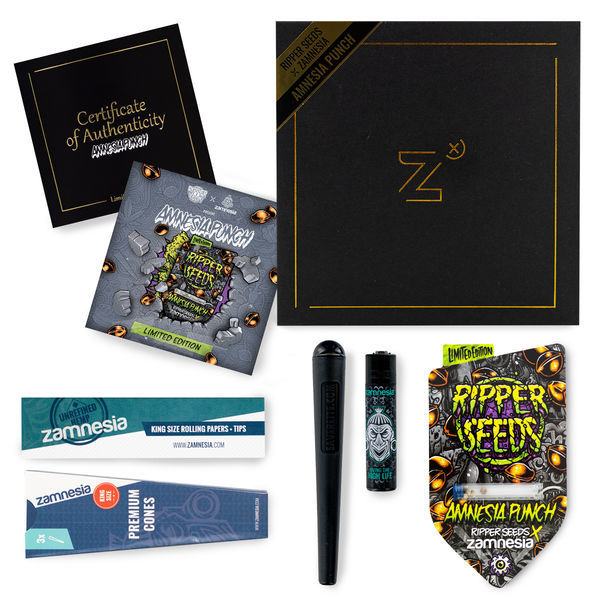 Amnesia Punch (Ripper Seeds x Zamnesia) feminizowane