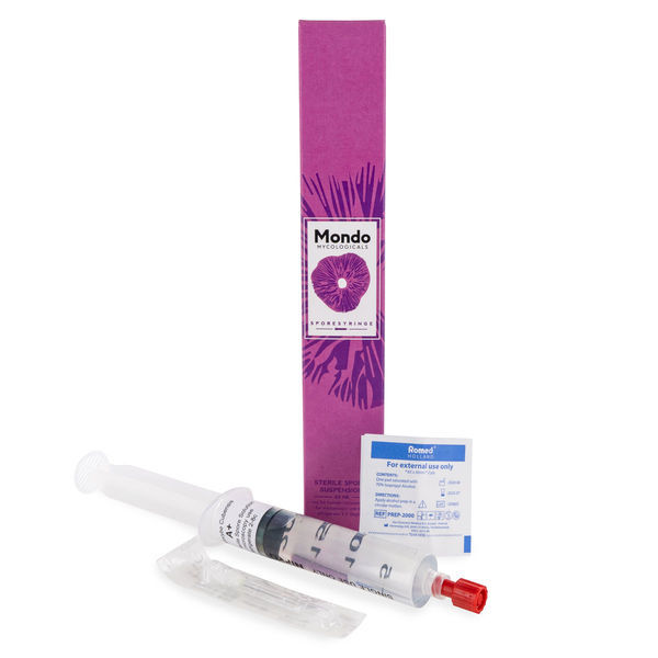 Strzykawka z zarodnikami Mondo Psilocybe cubensis A+