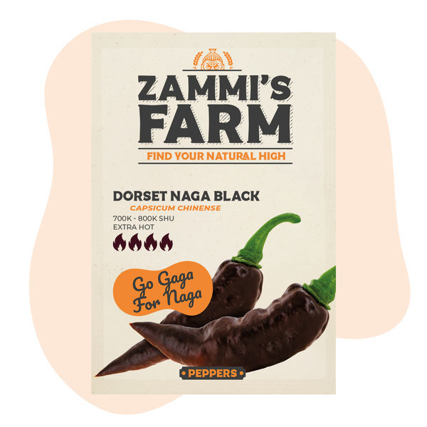 Nasiona Dorset Naga Black