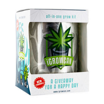 iGrowCan x Zamnesia Seeds (Runtz Automat)