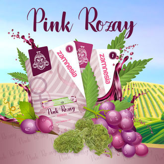 Pink Rozay (Zamnesia Seeds) feminizowane