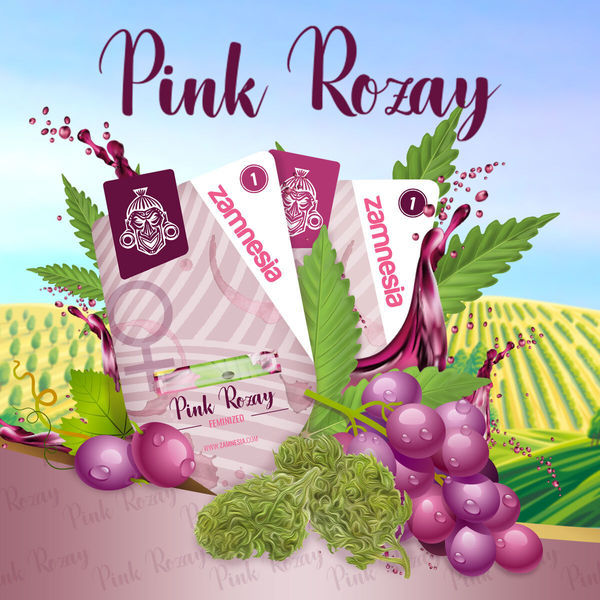 Pink Rozay (Zamnesia Seeds) feminizowane